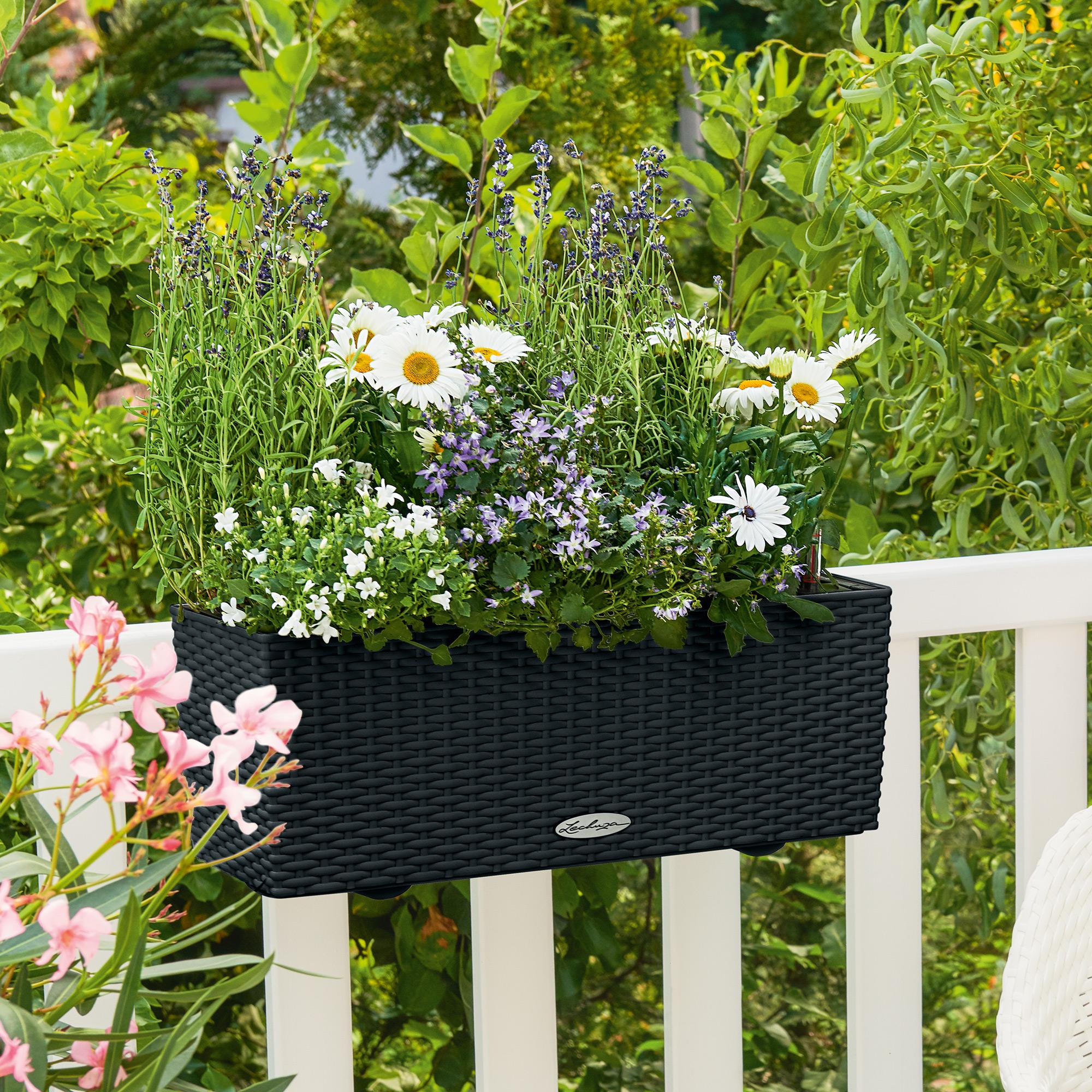 le_balconera-cottage50_product_addi_01